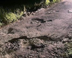 Screenshot 2023 05 05 020251.jpg