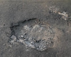 Screenshot 2023 05 05 020317.jpg