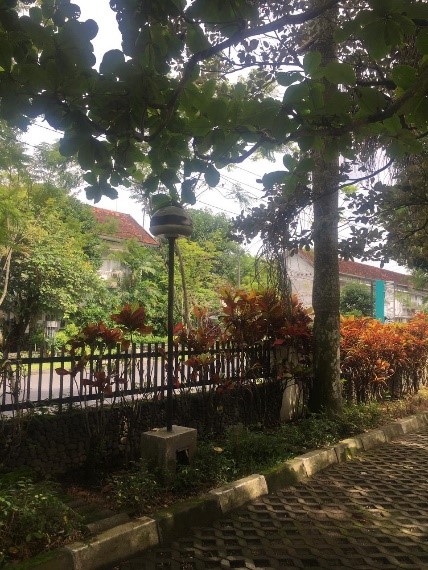 TAMAN.jpg