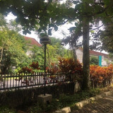 TAMAN