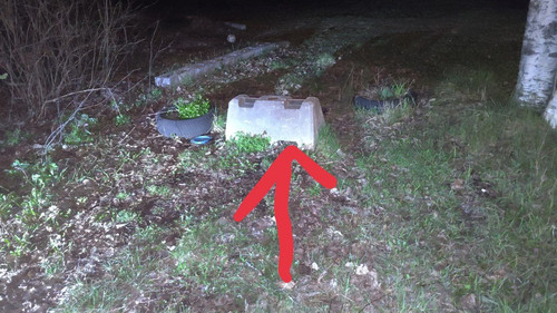 photo 2023 05 08 03 39 24.jpg