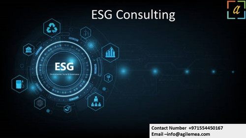 ESG Consulting 7.jpg