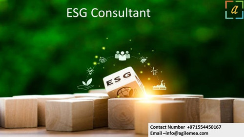 ESG Consultant 15.jpg