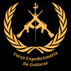 FEG (1).png