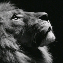 1ab93b42836995add17acf268bbb419a.png
