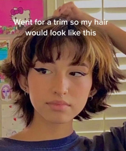 0 I asked for a short haircut with layers people say it looks so bad the hairdresser must have done .jpg
