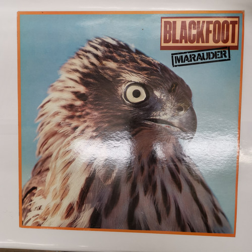 IMG 20230503 150632.jpg