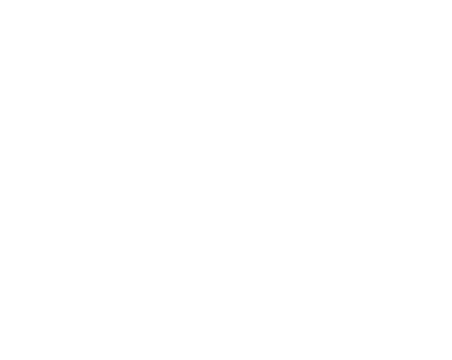 397 3976393 068 34139 seat logo png white.png