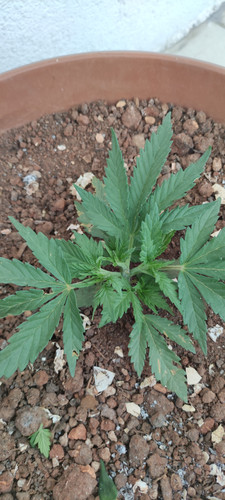 IMG 20230508 162809.jpg