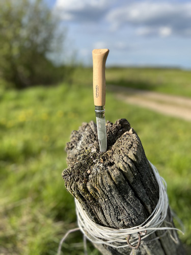 1B5A46B0 51FF 436E 9D7C 2756FFAAEF23.jpg