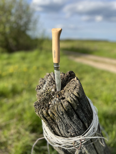 A88E17A4 610E 41B8 A1BA 6462DEA2C7C9.jpg