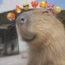 da504363414e2ca09aa1619fdefdfc1f.png