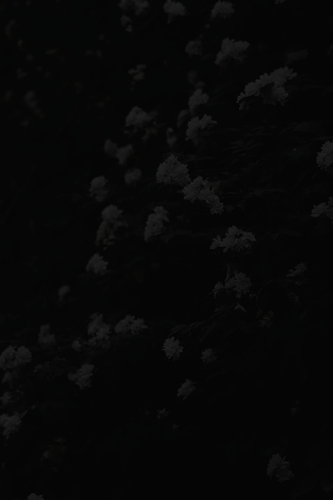spitbg.png
