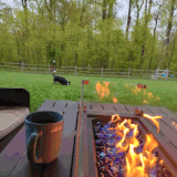 PXL 20230430 112126415 exported stabilized 1682853834921.gif