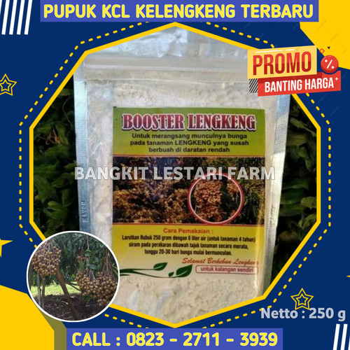 TERPERCAYA! CALL 0823-2711-3939 Jual Pupuk Kcl Kelengkeng Terbaru.jpg