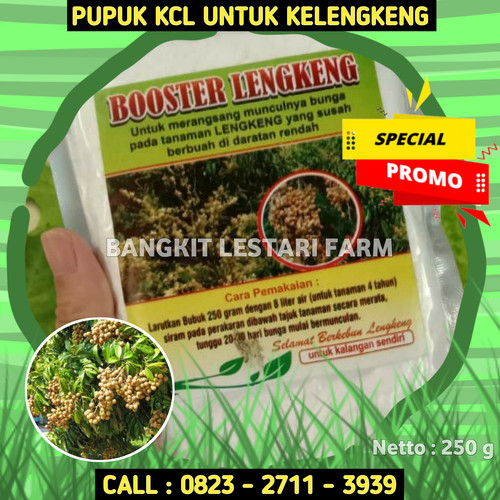 100% GARANSI! CALL 0823-2711-3939 Jual Pupuk Kcl Untuk Kelengkeng.jpg