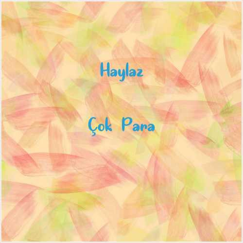 دانلود آهنگ جدید Haylaz به نام Çok Para