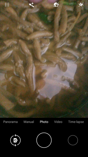 Screenshot 20230501 110012.png