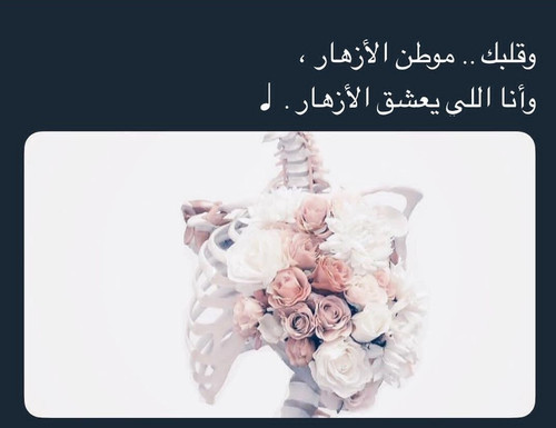 IMG 20180621 230450.jpg