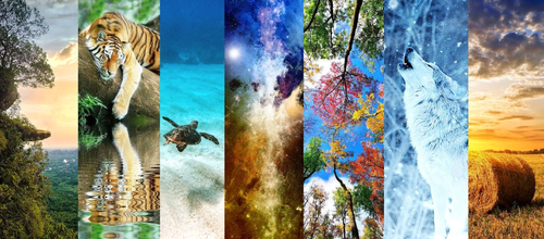 ' Glorified is The Mighty Creator '.png