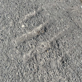 SU 4