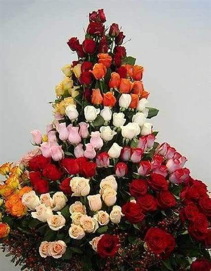 IMG 20211026 143801 049.jpg