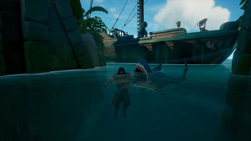 image (1) auto x2 (1)