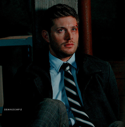 tumblr c0a422fa945c51d887db8bc611f9d528 6e93ecfc 540.jpg