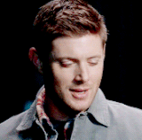 tumblr 09ff0333633662b7388f5d87bc6cfb2f 3afb3a0a 250.gif