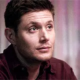 tumblr 57d2368b86616c3208e78f1a232df1e6 3be3fab7 250.webp