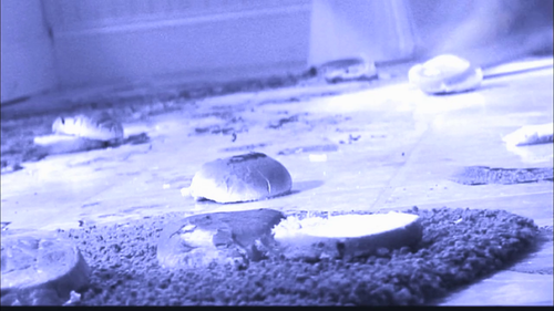 vlcsnap 2023 05 04 19h15m23s115.png