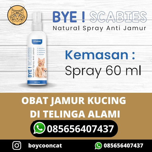 OBAT JAMUR KUCING DI TELINGA ALAMI.jpg