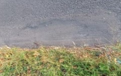 Screenshot 2023 05 05 074308.jpg