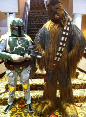 11024755 10203980541016676 3184322959510582480 n.jpg