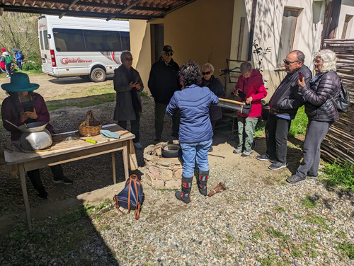 PXL 20230418 085520938.jpg