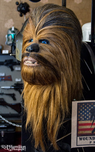 11071803 450783208410175 629020098923941859 o.jpg