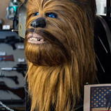 11071803 450783208410175 629020098923941859 o