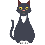 cat.gif