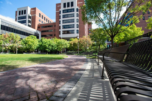 Park of Hope.jpg