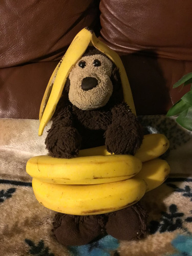 2BCE0AEE 6A1E 4396 B13F B1087ACFEF8E.jpg