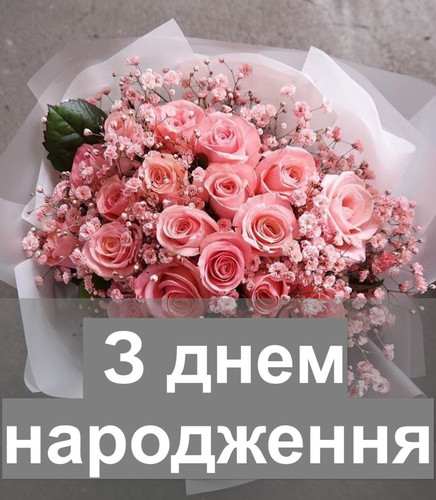 pic.jpg