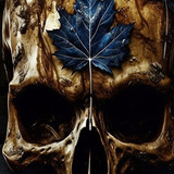 Maple Leafs Wallpaper 7