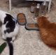 0fefb1dfe781068f6027a01f32963f36d662635b.gif