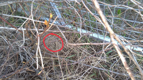 photo 2023 05 08 20 45 25.jpg