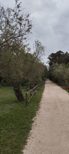 IMG 20230501 174717.jpg