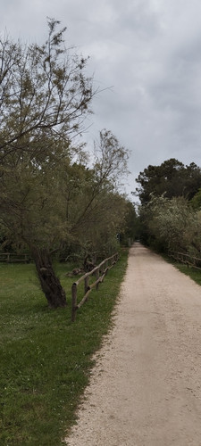 IMG 20230501 174714.jpg