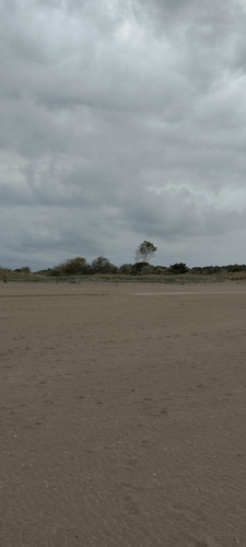 IMG 20230501 174201.jpg