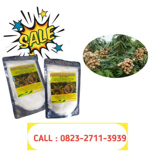 DISTRIBUTOR LANGSUNG ! CALL 0823-2711-3939 Bapak Haji Toufik  Jual Booster Kelengkeng Kclo3.jpg