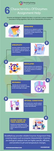 infographic BME (1).png