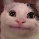 95bfe3680ebbfc7464d16b38b2ae3a2a.png